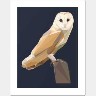 Geometric Barn Owl Posters and Art